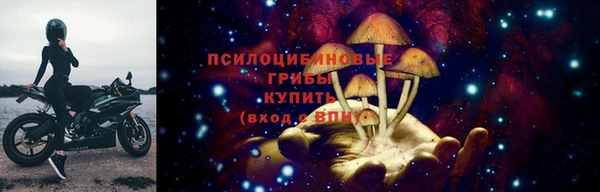 спайс Алзамай