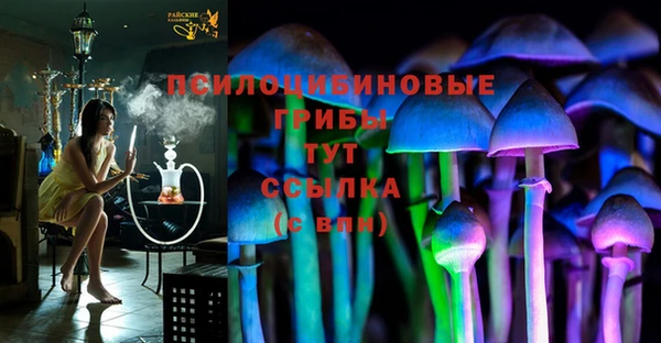 соль курить ск Алексеевка