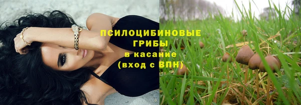 спайс Алзамай