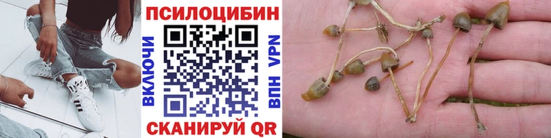 Галлюциногенные грибы MAGIC MUSHROOMS  Котово 